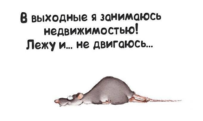 Спать охота, а тут еще прикол, работа, сон, юмор