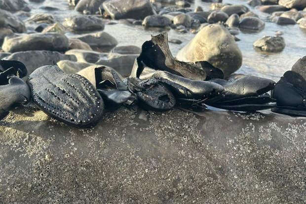 На пляже в Уэльсе нашли более 400 черных кожаных ботинок викторианской эпохи