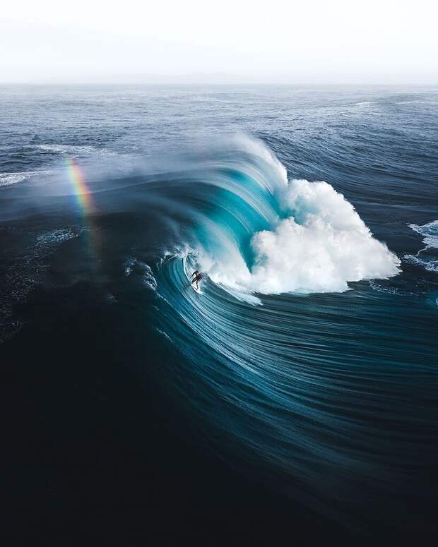 12 потрясающих снимков с конкурса, который воспевает всю мощь и красоту океана