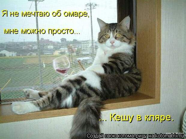 Котоматрица: Я не мечтаю об омаре, мне можно просто... ... Кешу в кляре.