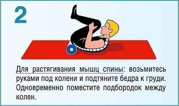Укрепляющая тренировка для мышц спины и пресса факты