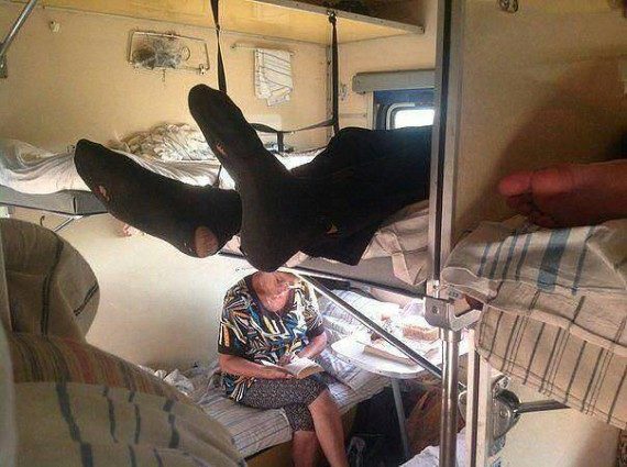Прикольные картинки