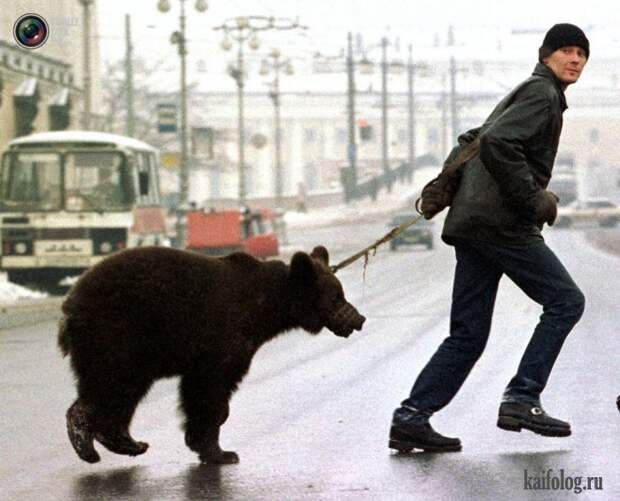 Необычные домашние животные (55 фото) Необычные домашние животные (55 фото)