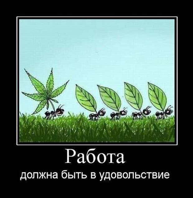 Подборка демотиваторов демотиватор, юмор