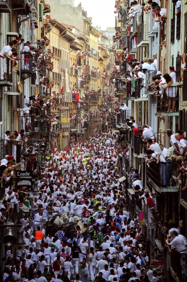 Фотоподборка за 09.12.2013 кадр, прикол, фото, фотоподборка