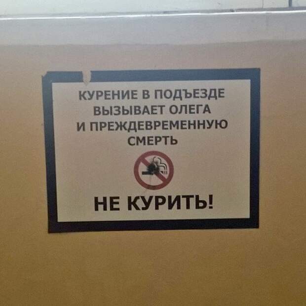 гениальные объявления в подъездах