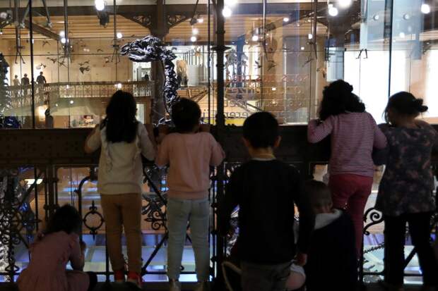 Маск заявил о переставшей быть бельгийской столице Бельгии