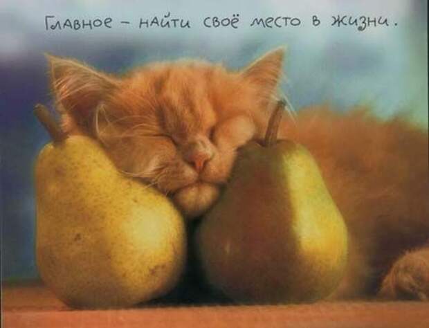 Давайте улыбаться вместе! :) (29улыбок)