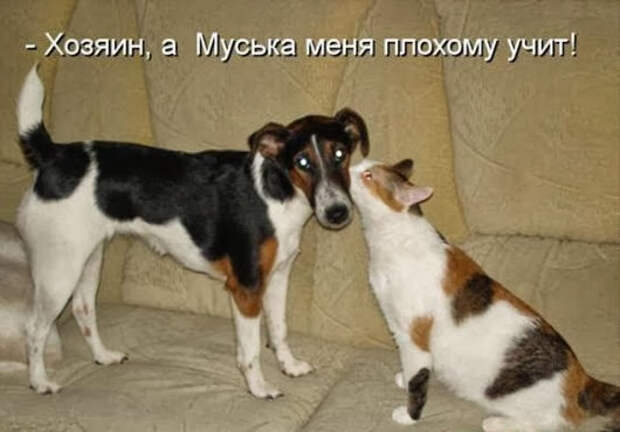 102e240f0ee33cdf337e4fda10c_prev