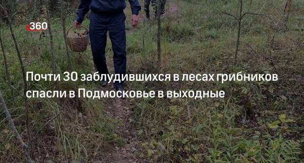Почти 30 заблудившихся в лесах грибников спасли в Подмосковье в выходные
