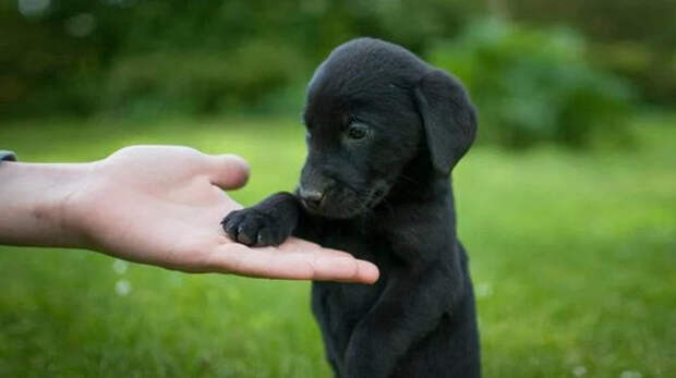 Одиночество