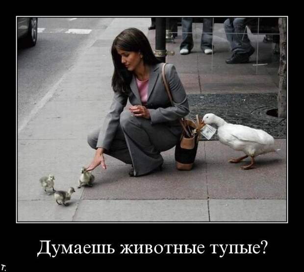 Подборка демотиваторов (84 фото)