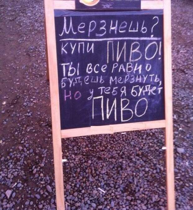 Смешные картинки с надписями прикол, юмор
