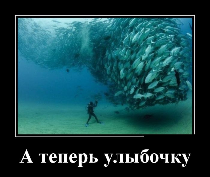 Подборка демотиваторов  демотиватор, юмор