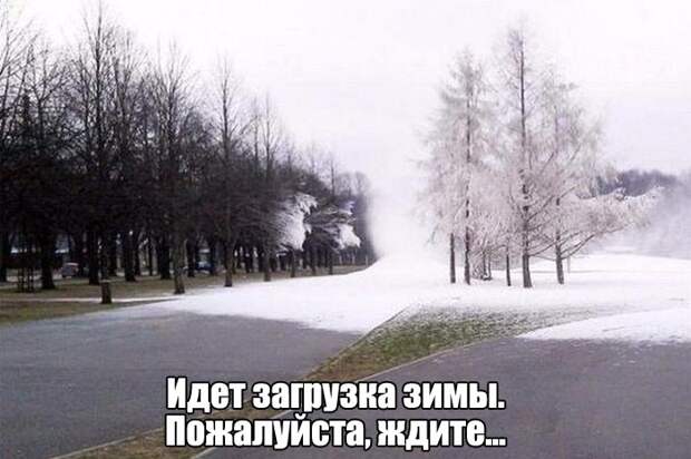 Прикольные картинки (87 фото)