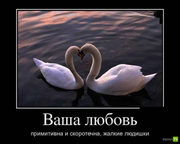 Демотиваторы на июнь, часть 13 (30 фото)