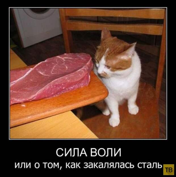 Подборка демотиваторов 12. 09. 2014 (33 фото)