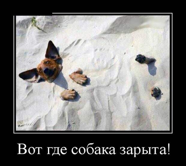 Свежие и веселые демотиваторы для поднятия настроения (10 фото)