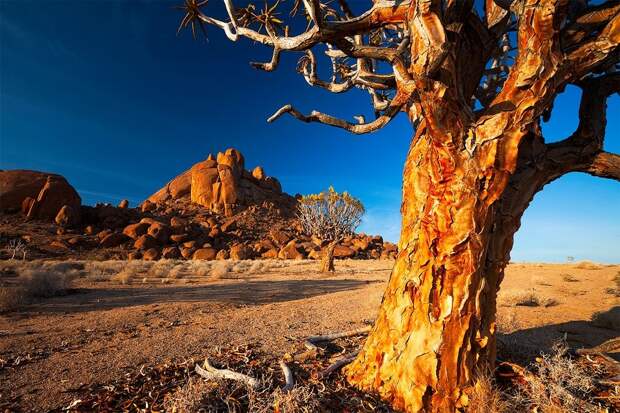 Namibia19 Фантастические пейзажи Намибии