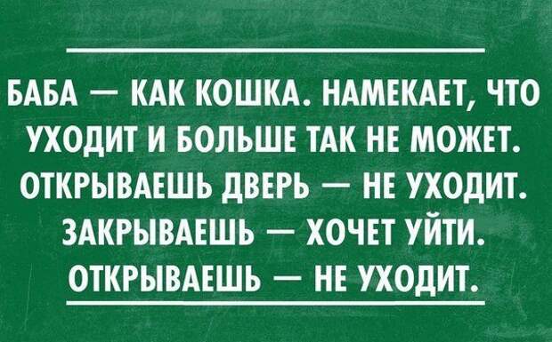 В точку!