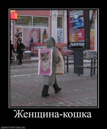 Демотиваторы, прикольные надписи и фотки.