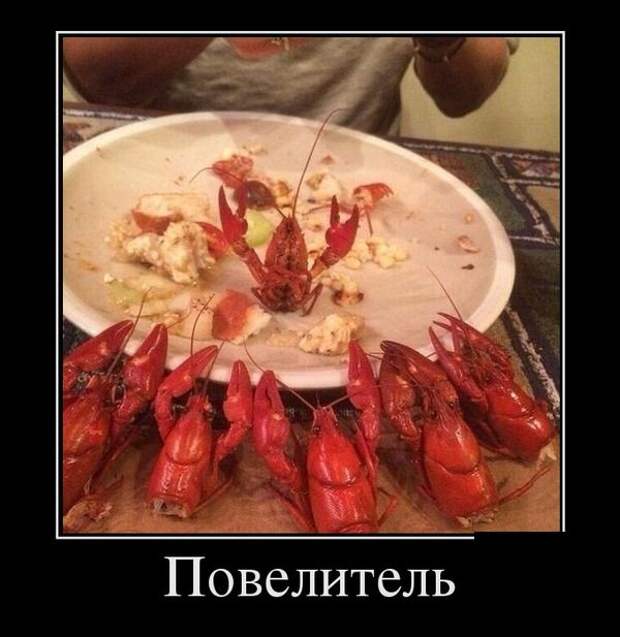 Демотиваторы (30 фото)