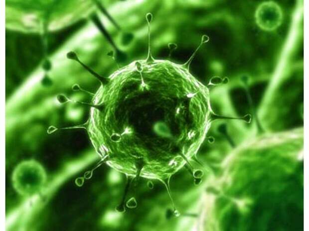 un-nou-virus-misterios-face-ravagii-in-korea-de-sud-si-ameninta-omenirea-33980