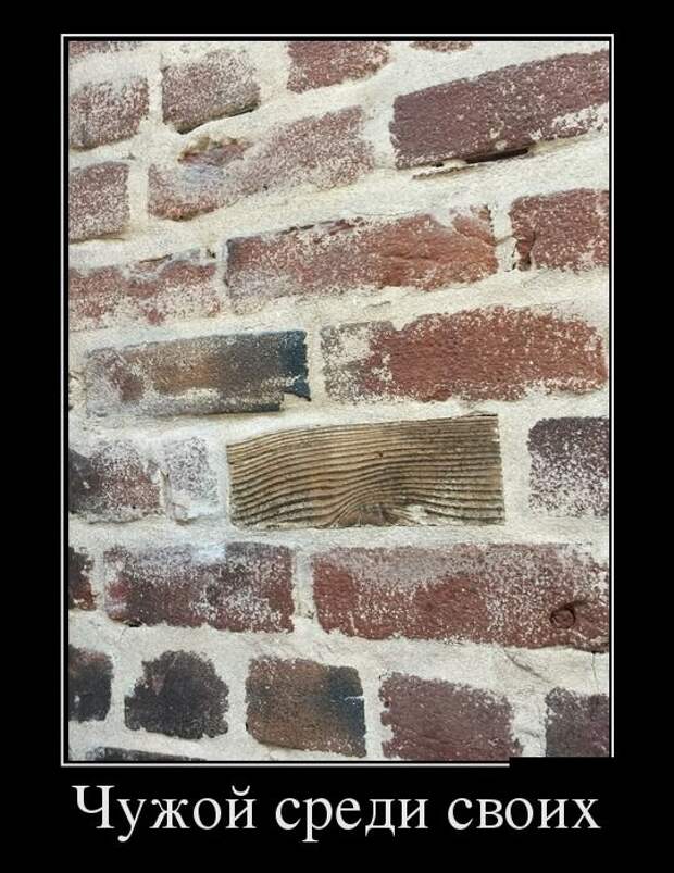 Демотиваторы №1069 (30 фото)