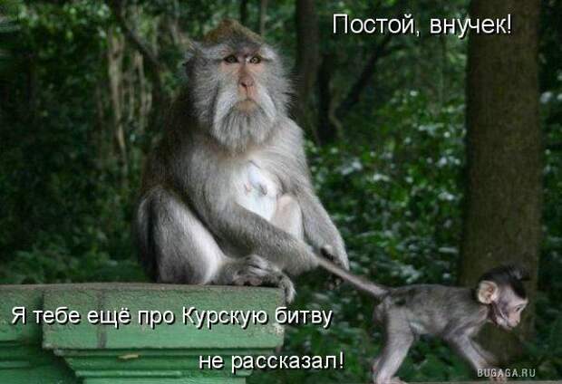 Котоматрица 9