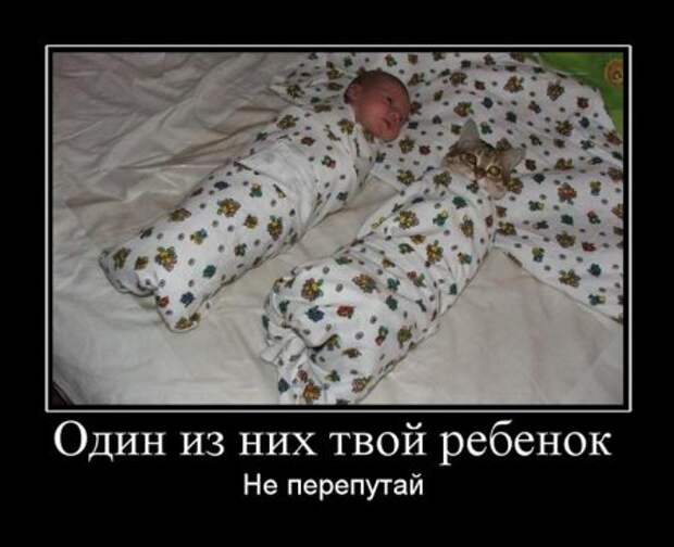 Веселые картинки демотиваторы.