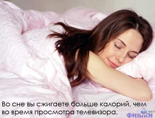 Интересные факты в картинках (47 фото)