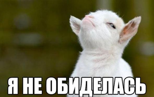 Смешная галерея фотоприколов - 44