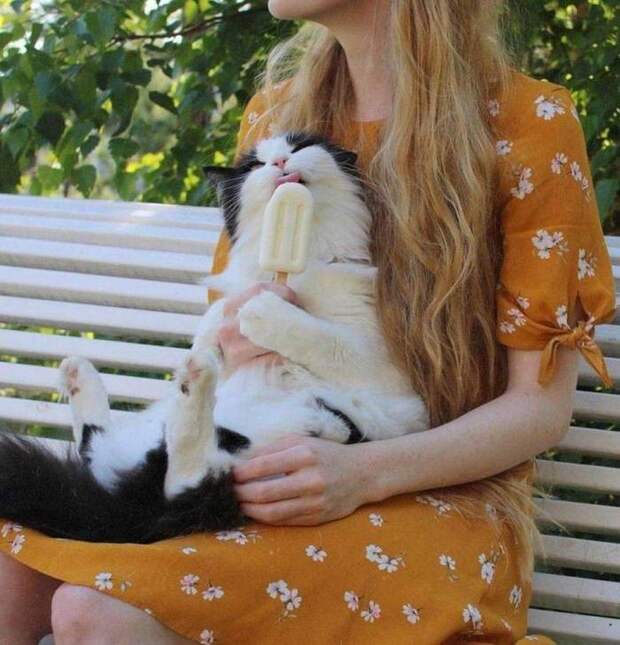 Все любят мороженое