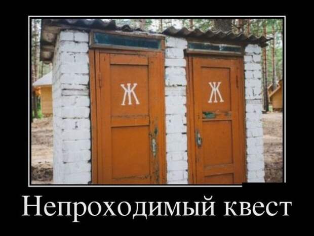 Непроходимый квест демотиватор, юмор