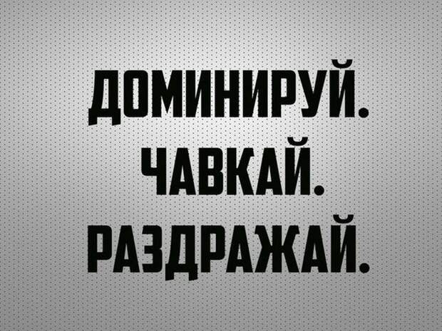 Прикольные картинки (101 фото) Прикольные картинки (101 фото)