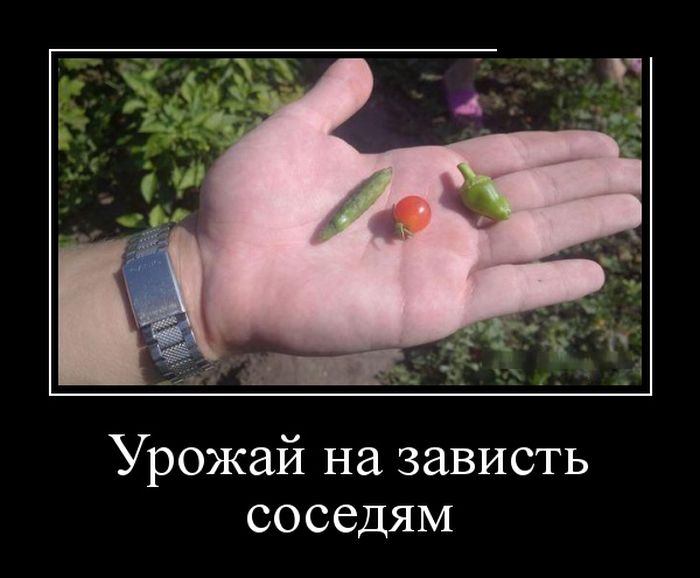 Подборка демотиваторов, которые поднимут вам настроение! демотиватор, юмор
