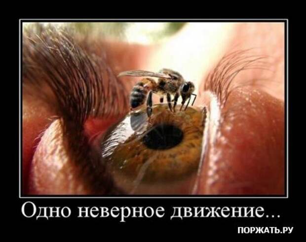 Демотиваторы по русски, но разве это не прикольно?:)