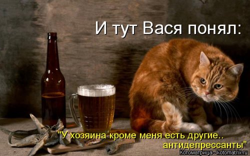 Свежий сборник котоматриц (34 шт)