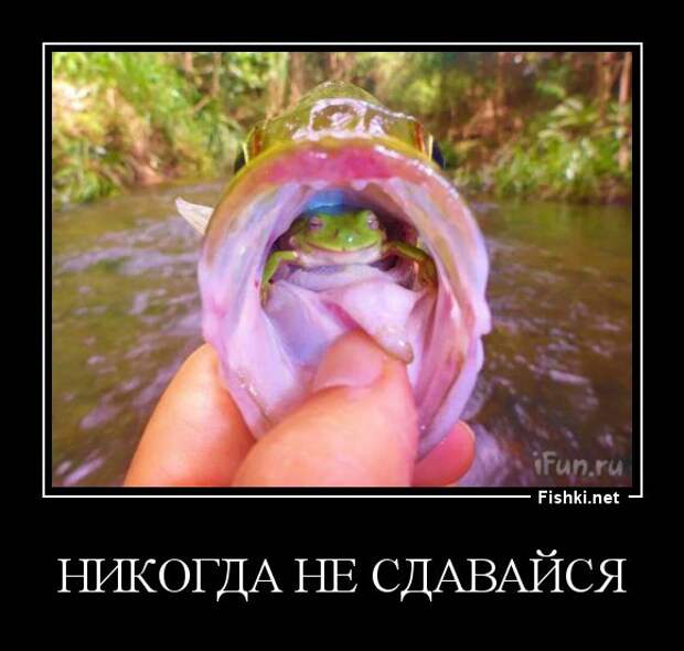 Демотиваторы  демотиваторы, прикол, смех, юмор