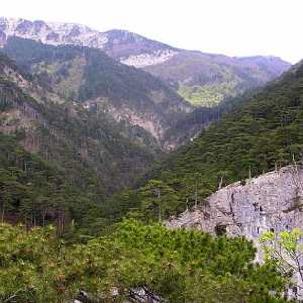 Новости Крыма