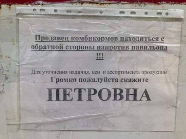 Петровна!* хорошее название для голосового помощника