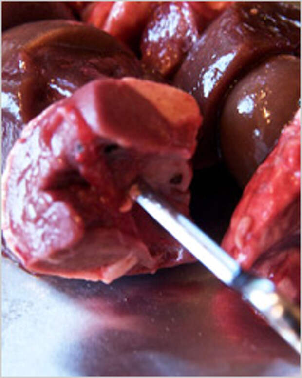 шашлык из печени