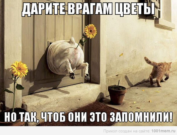 Очень навязчивая реклама " ALLDAY - народный сайт о дизайне