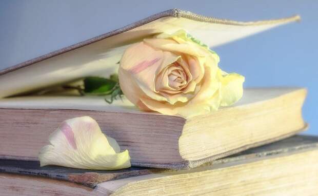 Книга. Фото: Pixabay.com