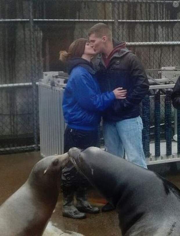 Забавные и позитивные фотки 22