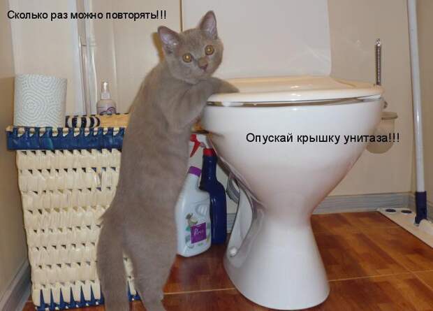 Холостятские "берлоги" сильных и независимых мужчин
