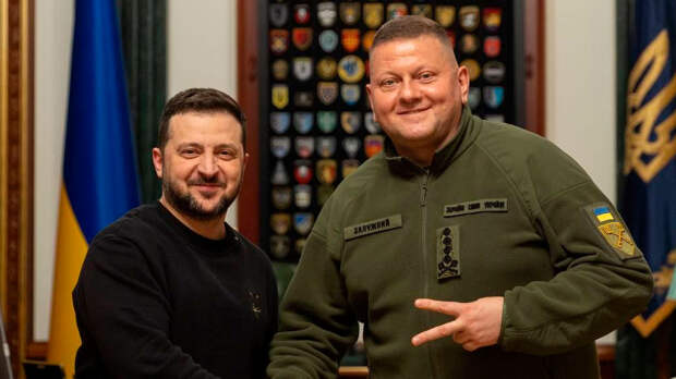 Залужный озвучил причину неспособности ВСУ перейти в наступление