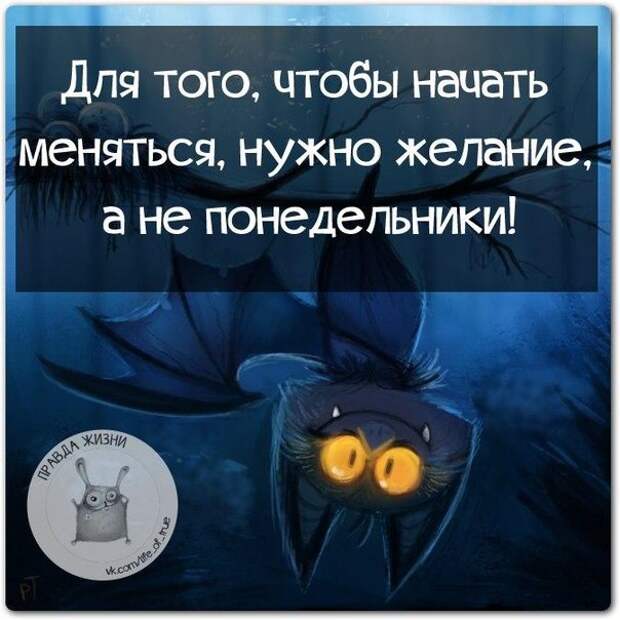 Смешные умные картинки