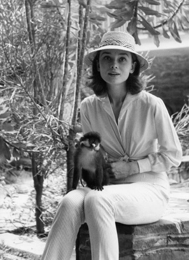 15_0649_hepburn_the_nuns_story_monkey_on_lap_1_portrait 15_0649_hepburn_the_nuns_story_monkey_on_lap_1_portrait