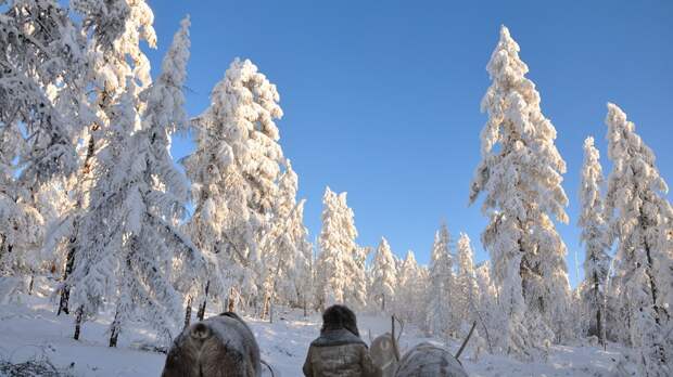 Деревня Оймякон , что в Якутии, известна как один из «полюсов холода». По ряду параметров Оймяконска